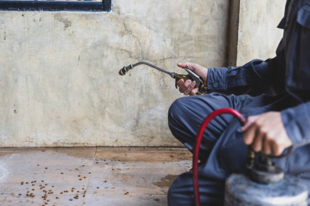 Best Best Pest Control Companies  in Rossmoor, CA